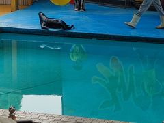 -荆州中山公园动物园