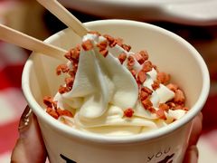 草原酸奶冰淇淋-西贝(上海新梅广场店)