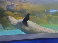 -常州海昌海洋探索馆