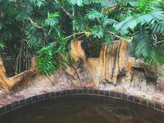 -龙达温泉生态城