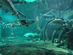 -华夏文旅海洋公园