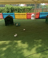 -萌宠亲子动物乐园(槐房万达店)