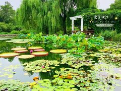 -国家植物园南园