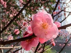 -望江楼公园