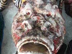 -清水湾3号(东方小周海鲜店)