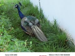 -台州府城(东湖)