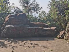 -铁山坪森林公园