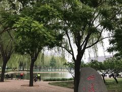 -泰丰公园