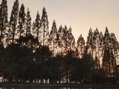 -柯岩风景区