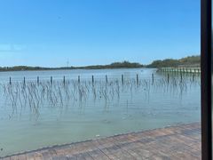 -东滩湿地公园观海楼餐厅