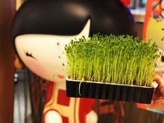 -煲宫猪肚鸡(晶品店)