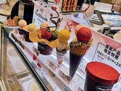 -哈根达斯(石家庄北国店)