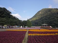 -广州市石门国家森林公园