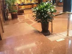 -上海新锦江大酒店