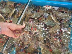 -盛华世家商业广场农贸水产综合批发市场