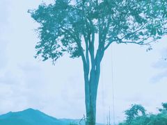 -大树秋千