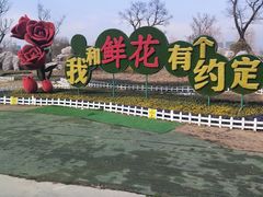 -南通鲜花小镇