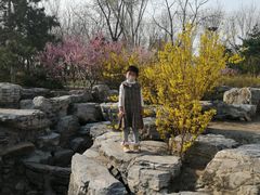 -大兴滨河森林公园