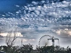 -秦皇岛乐岛海洋王国