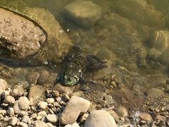 iphone_upload_pic-永定河休闲森林公园