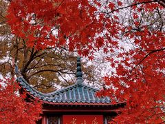 -岳麓山风景名胜区