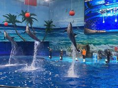 -多彩贵州城极地海洋世界