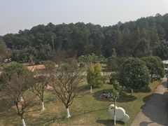 -铁山坪森林公园