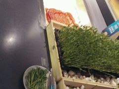 -夫妻肺片·中华老字号·正宗川菜(春熙路店)