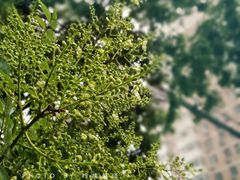 -赛百味SUBWAY(都汇天地店)