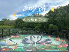 -大湾区中央湿地公园