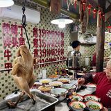 这锅黄辣丁‼️在成都真的没有对手🔥