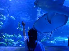 -太平洋海底世界