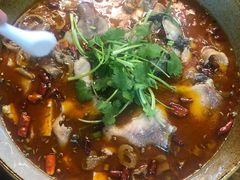 -燕兵眉州肥肠鱼饭店