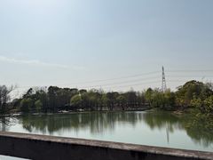 -梁鸿国家湿地公园