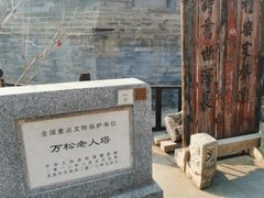 -万松老人塔