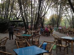 IMG_1016[1]-望江楼公园