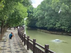 -上海佘山国家森林公园西佘山园