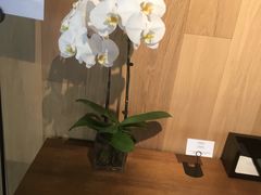 店内布置-山下C5cafe(惠通时代广场店)