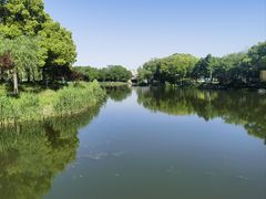-新江湾城公园