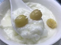 莲子双皮奶-义顺牛奶公司