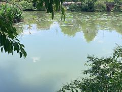 -蜀水别园(青杠树店)