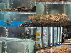 水产区-1718海鲜姿造(苏宁宴请臻选店)