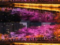 -西北湖绿化广场