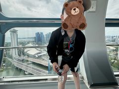 -新加坡摩天观景轮