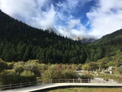 -稻城亚丁景区-冲古草甸