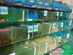 水产区-琼大师东方烤乳猪(亚特兰蒂斯店)