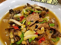 野蘑菇炒肉-新疆巴州金丝特餐厅(大钟寺店)