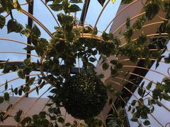 -吉姆丽德乡村西餐厅(闵行交大店)