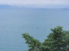 -西涌国际滨海旅游区