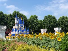 -百万葵园